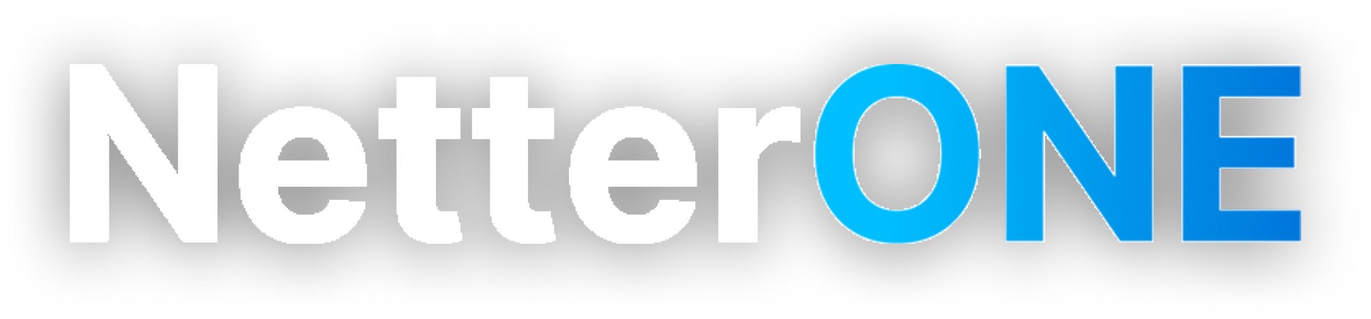 NetterONE logo